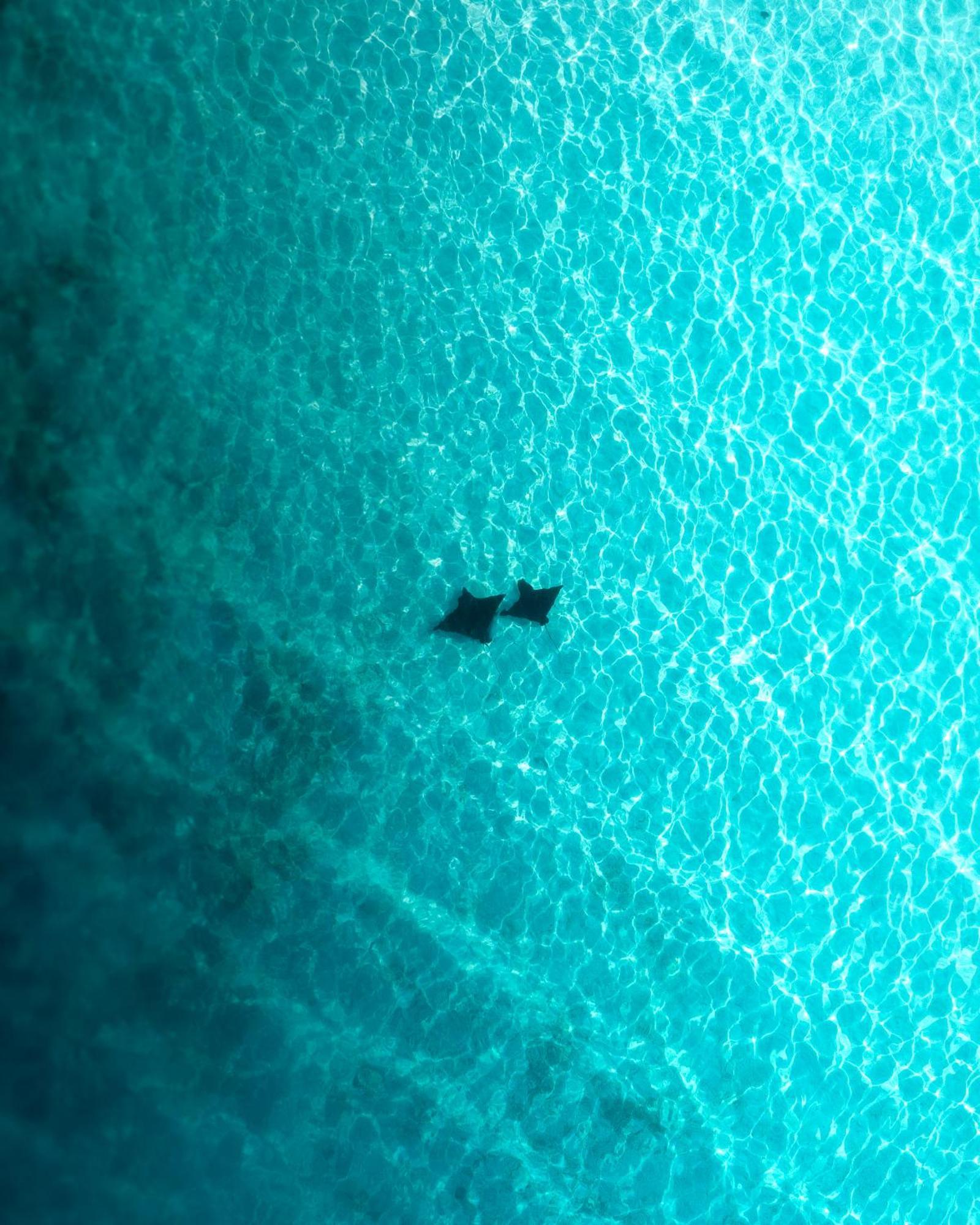 Araamu Hotels Maldives At Dhiffushi Bagian luar foto